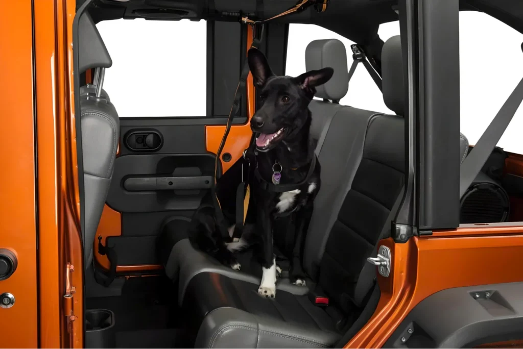 dog seat belt jeep