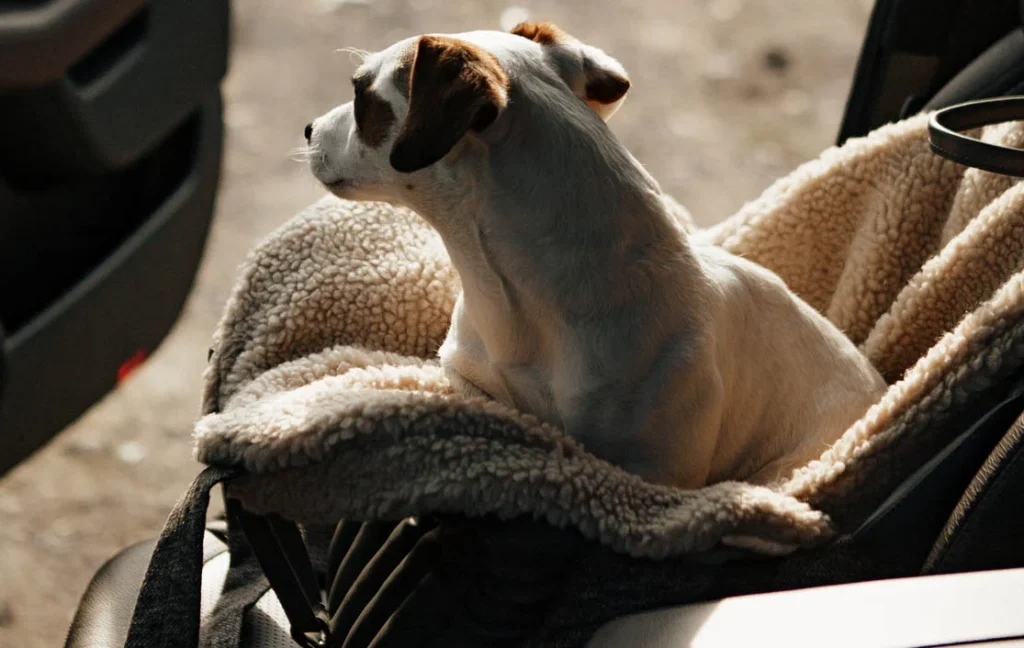 dog car seat carrier bag