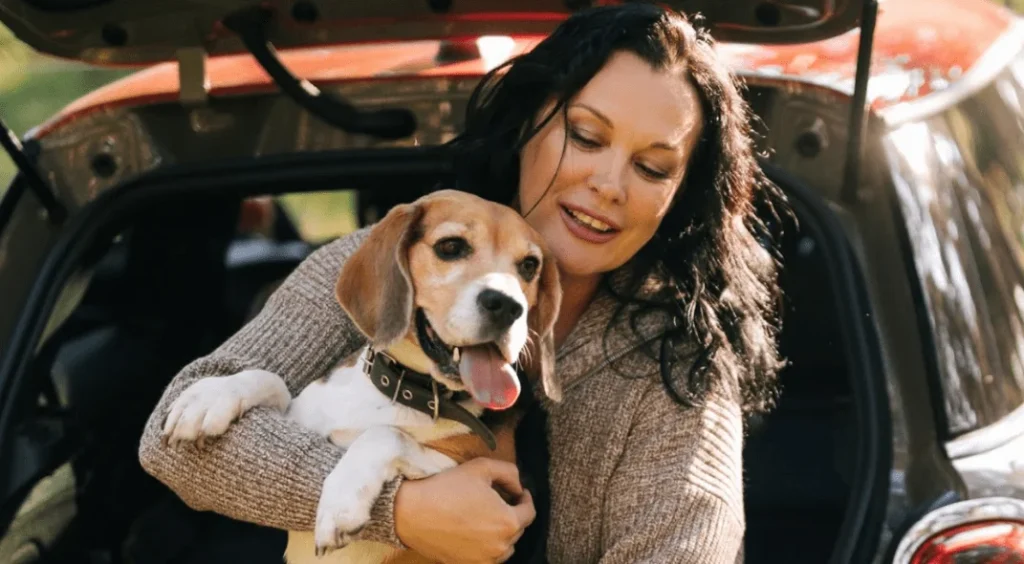 vacuum for dog hair in car