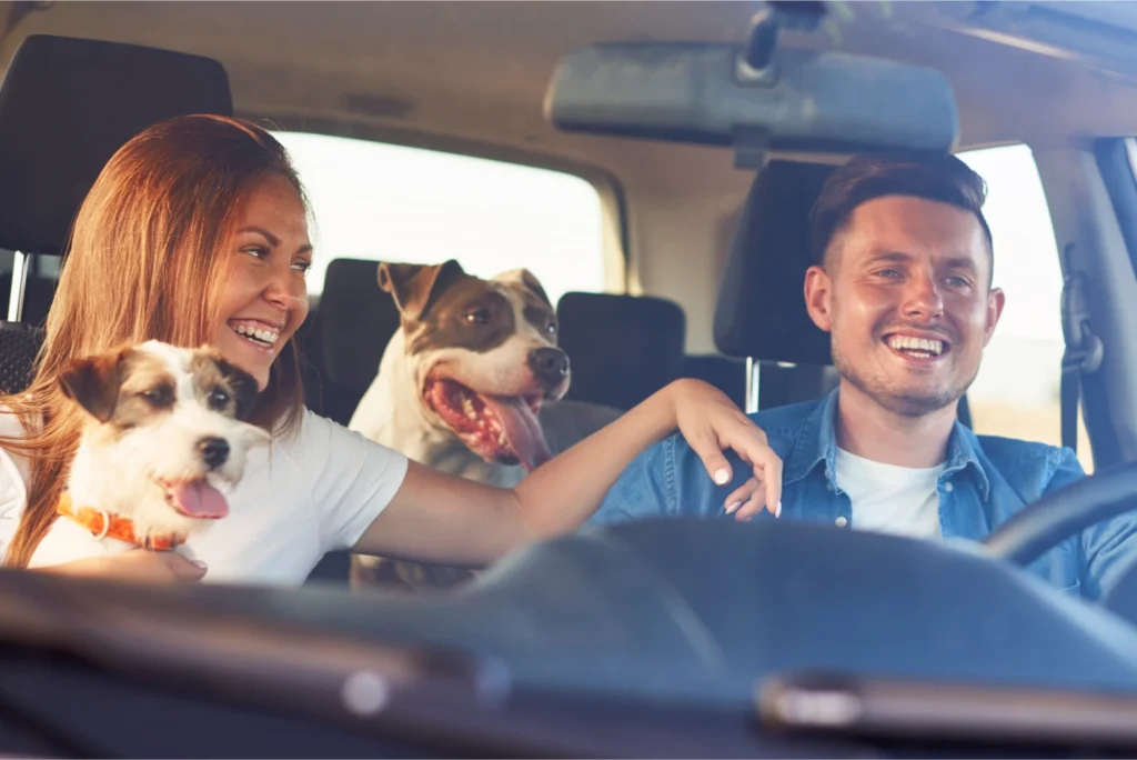 pet carpool seat