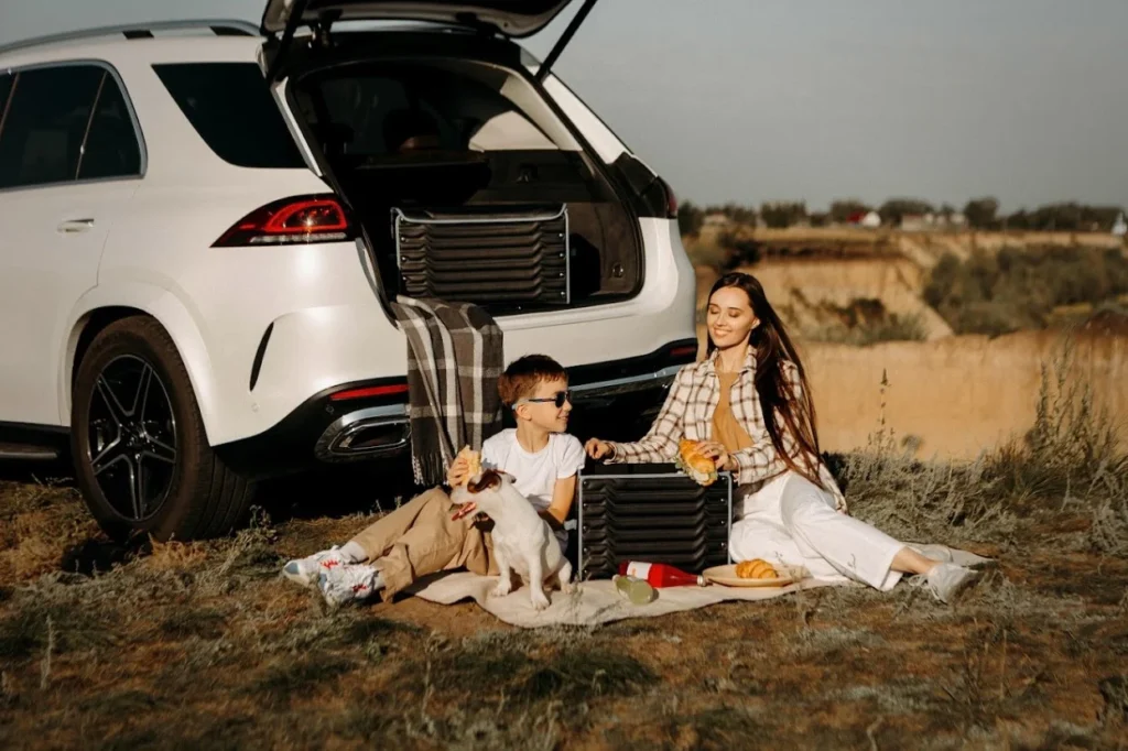 white picnic blanket waterproof