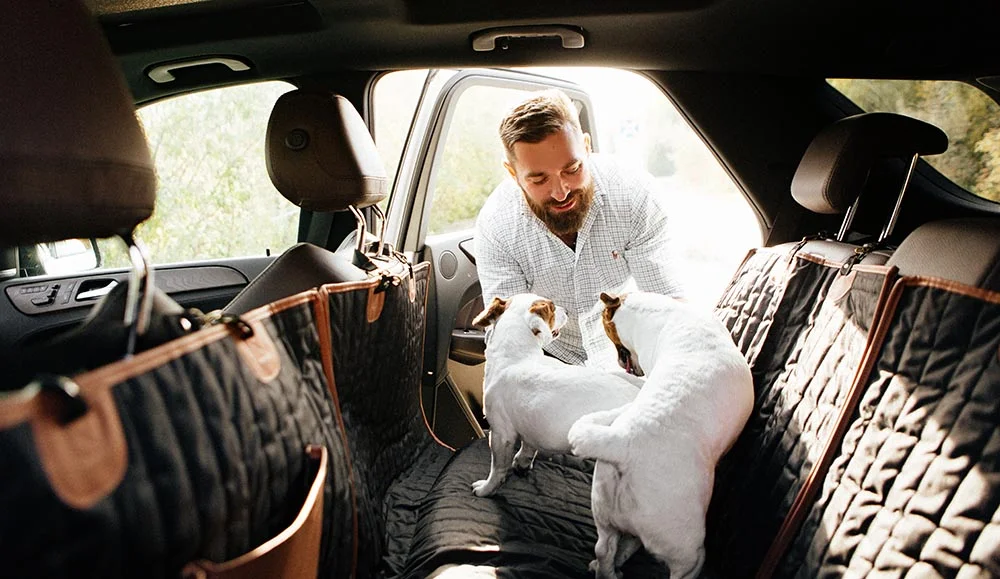 dog back seat cover for Lexus NX