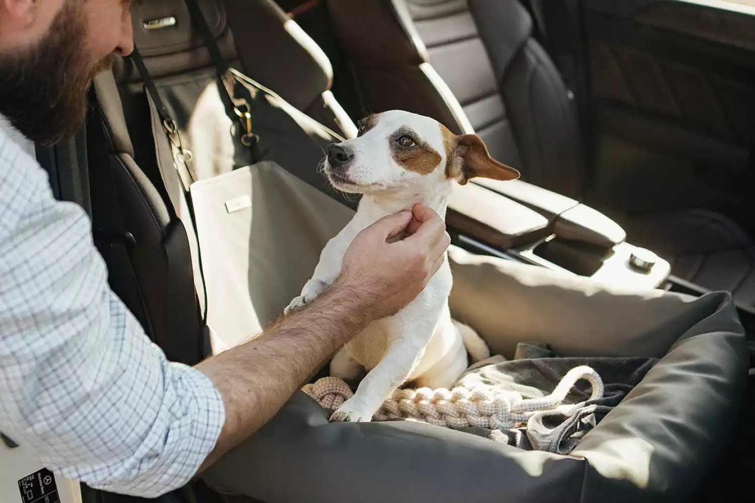 Kerry Blue Terriers Dog Car Seat for Hyundai Sonata