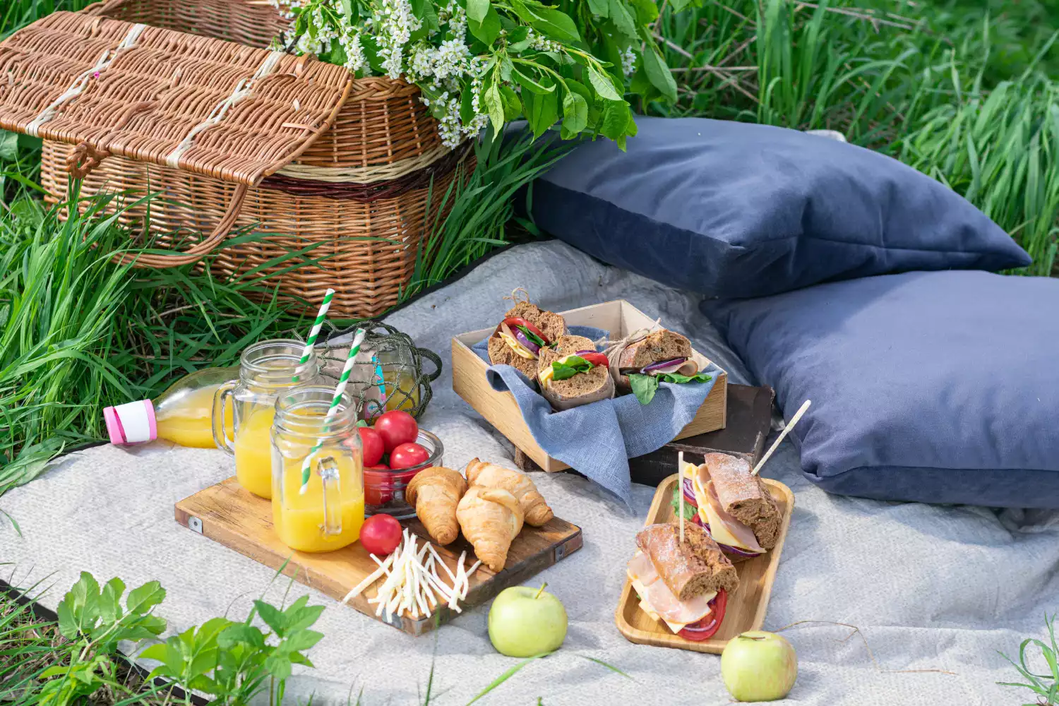 water resistant blankets for picnics