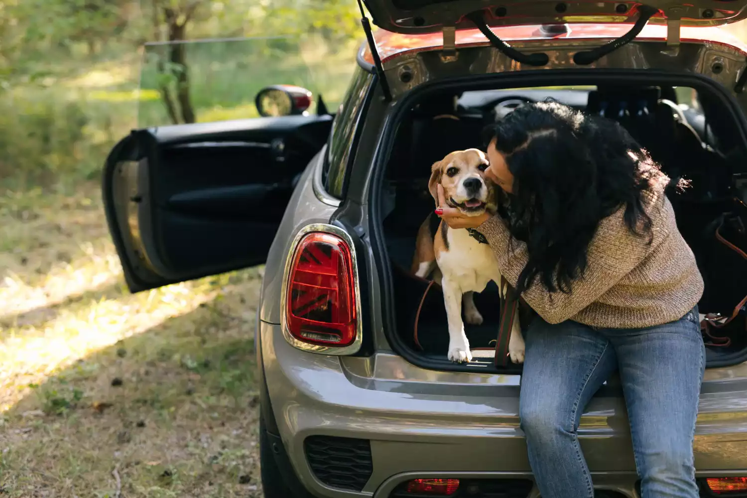 dog back seat cover for Subaru Outback