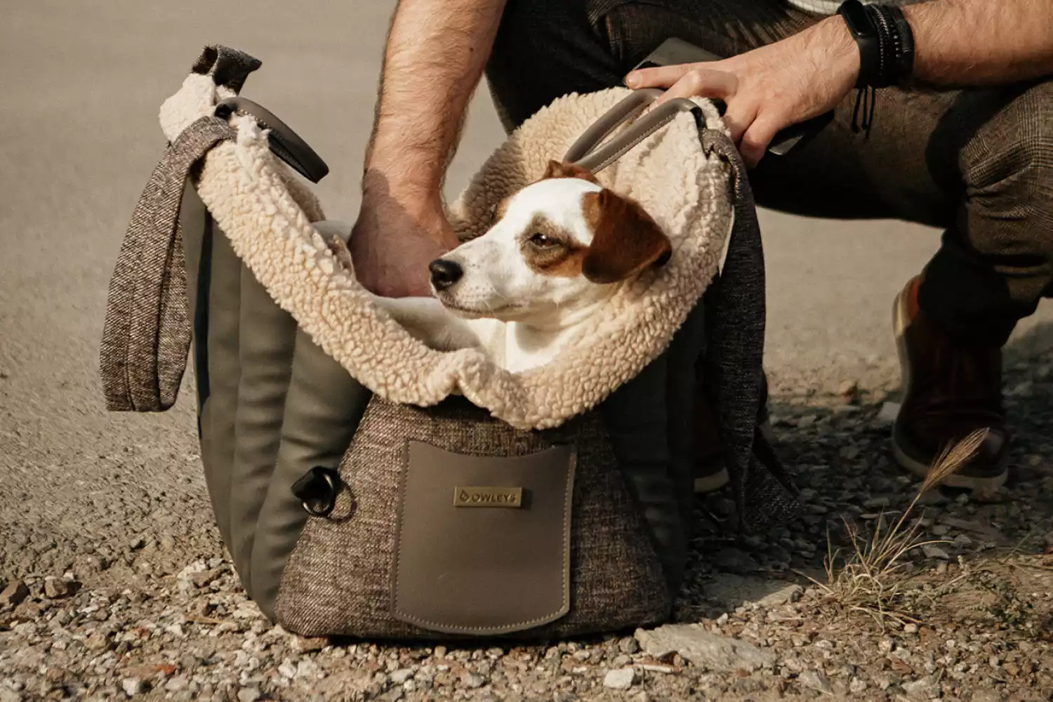 Honda Pilot Dog Carrier Car Seat for Welsh Terrier