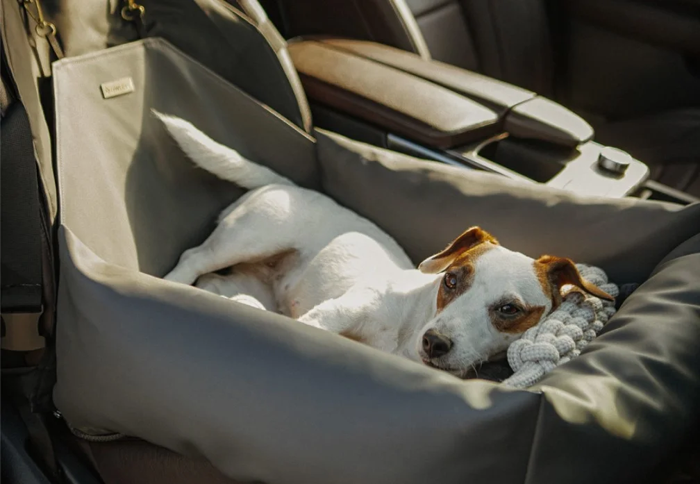 Lexus RX Dog Car Seat for Icelandic Sheepdogs