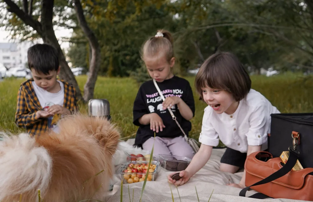 fold up waterproof picnic blanket